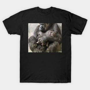 Western Lowland Gorilla and baby T-Shirt